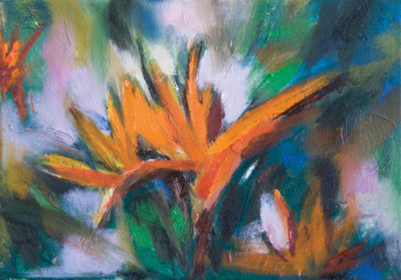 Michelle Lan's Gallery