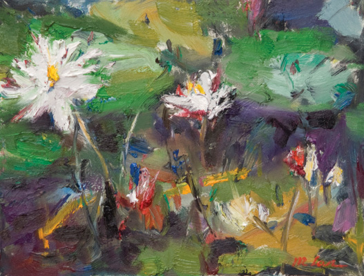Michelle Lan's Gallery