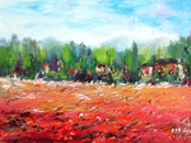 Tulip Field